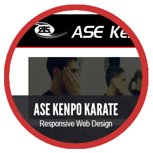 ASE Website design